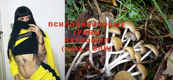 гашик Абинск