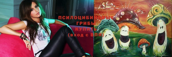 молекула духа Алзамай