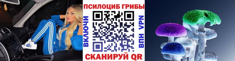Псилоцибиновые грибы Psilocybe  OMG рабочий сайт  Черкесск 