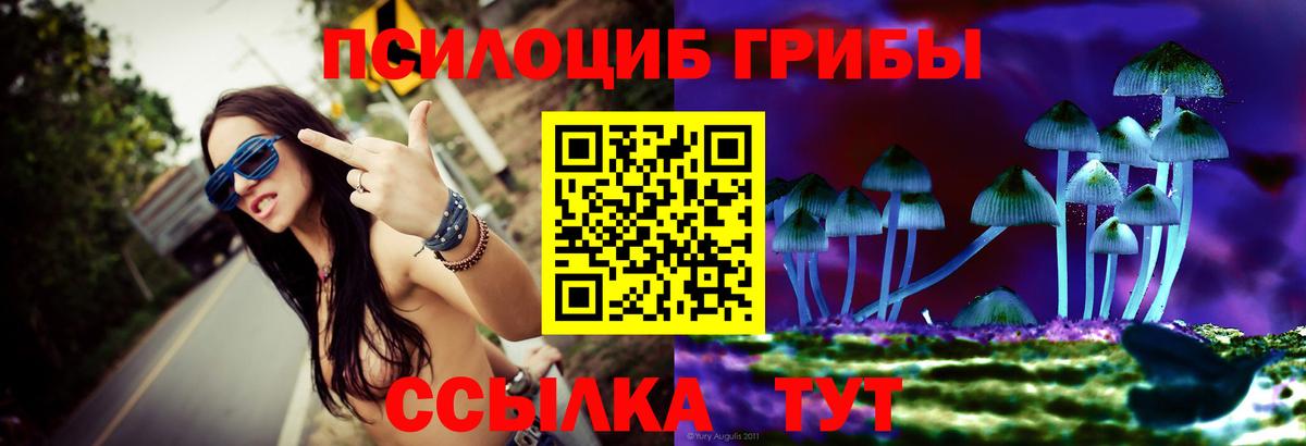 Псилоцибиновые грибы GOLDEN TEACHER Черкесск